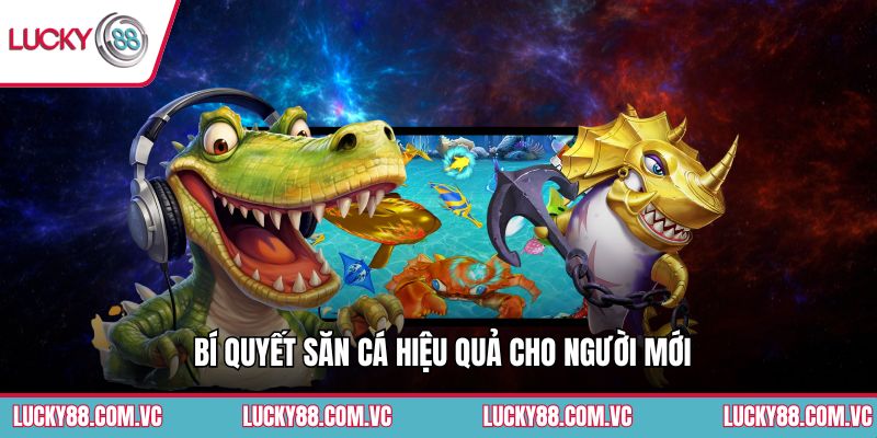 Bí quyết săn cá hiệu quả cho người mới