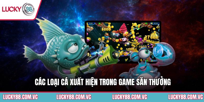 Các loại cá xuất hiện trong game săn thưởng