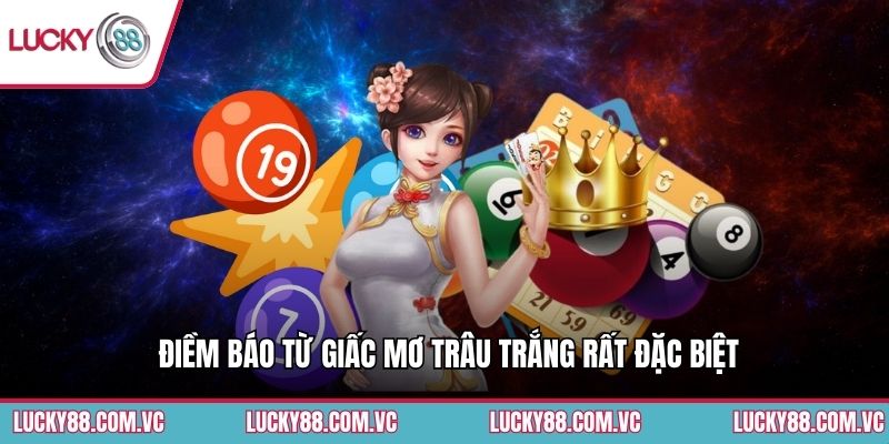 Điềm báo từ giấc mơ trâu trắng rất đặc biệt