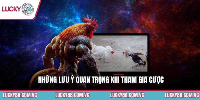 Những lưu ý quan trọng khi tham gia cược