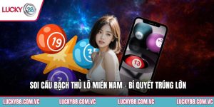 Soi Cầu Bạch Thủ Lô Miền Nam - Bí Quyết Trúng Lớn