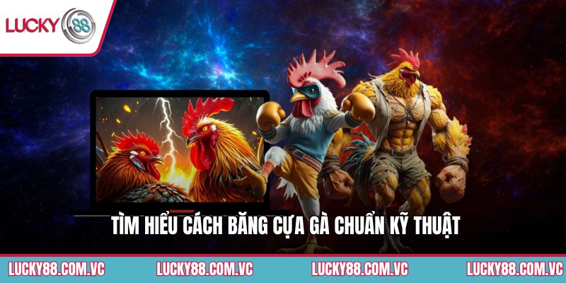 Tìm hiểu cách băng cựa gà chuẩn kỹ thuật