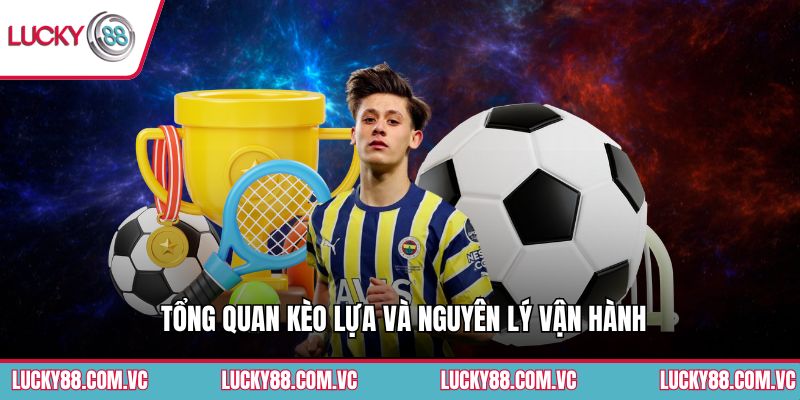 Tổng quan kèo lựa và nguyên lý vận hành